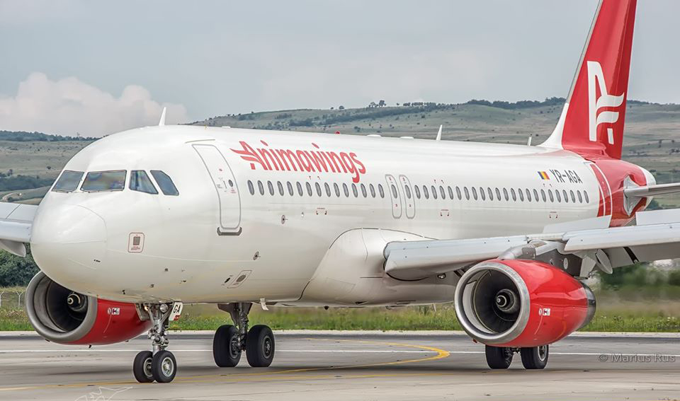 Compania românească Animawings şi-a lansat primele curse charter