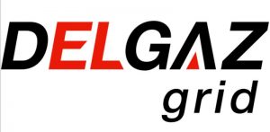 E.ON Distribuție România își schimbă denumirea în Delgaz Grid