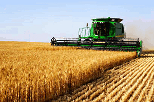 Agri-Business are în vedere extinderea parteneriatelor cu fermierii medii şi mici