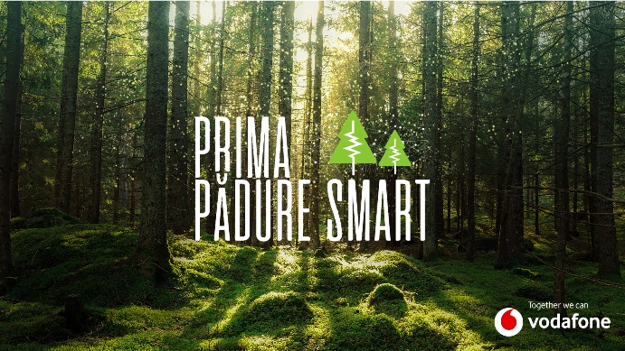 Vodafone lansează primul proiect de „pădure inteligentă” din România, prin care pot fi detectate tăierile ilegale
