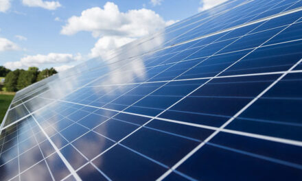 Simtel Team va construi centrale fotovoltaice pentru Grupul Carmistin