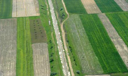 Southern Harvest a mai achiziționat 2.700 de hectare de teren agricol în România